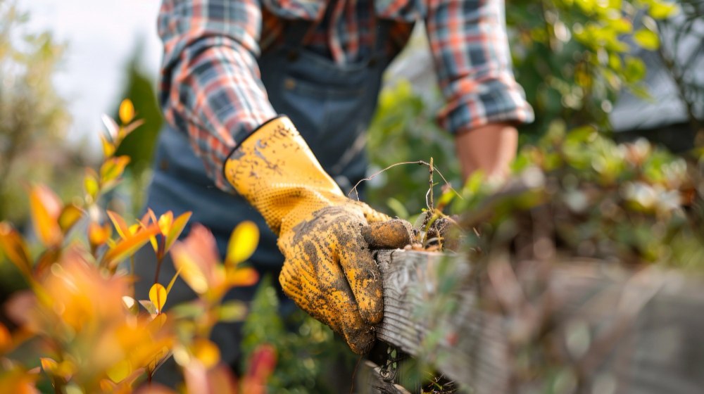 Hoe vakmanschap je tuin verandert in een leefruimte